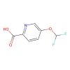 5-(difluoromethoxy)pyridine-2-carboxylic acid