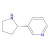 (S)-3-(Pyrrolidin-2-yl)pyridine - ≥95% CAS No(494-97-3) by Aladdin Scientific