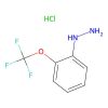 2-(Trifluoromethoxy)phenylhydrazine hydrochloride