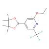 Pinacol 2-ethoxy-6-trifluoromethylpyridine-4-borate