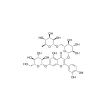 Quercetin 3-rutinoside-7-glucoside