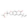(+)-Rutamarin