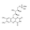 Riboflavin Sodium phosphate(FMN-Na)