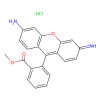 Rhodamine 123
