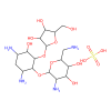 Ribostamycin sulfate salt