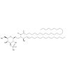3'-sulfo Galactosylceramide (d18:1/24:0)