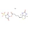 Sulphosuccinimido biotin