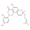 Sanggenol L