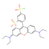 Sulforhodamine B acid chloride [Rhodamine B sulfonyl chloride], [known as Lissamine™ Rhodamine B Sulfonyl Chloride, TM of PerkinElmer]