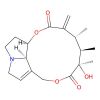 Senecivernine