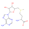S-Adenosyl-L-methionine(SAM) - Moligand™, ≥98% CAS No(29908-03-0) by Aladdin Scientific