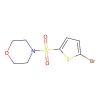 4-((5-Bromothiophen-2-yl)sulfonyl)morpholine