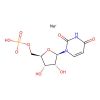 Sodium ((2R,3S,4R,5R)-5-(2,4-dioxo-3,4-dihydropyrimidin-1(2H)-yl)-3,4-dihydroxytetrahydrofuran-2-yl)methyl hydrogenphosphate
