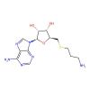 S-(5′-Adenosyl)-3-thiopropylamine