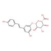 trans-Resveratrol 3-O-glucuronide