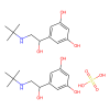 Terbutaline solution