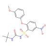 1-Tert-butyl-3-[2-(3-methoxyphenoxy)-5-nitrophenyl]sulfonylurea