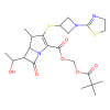 Tebipenem Pivoxil, Bacterial penicillin-binding protein inhibitor