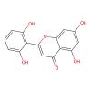 5,7,2',6'-Tetrahydroxyflavone