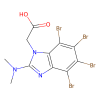 TMCB, Inhibitor of casein kinase 2; alpha 1 polypeptide subunit;Inhibitor of casein kinase 2; alpha prime polypeptide subunit