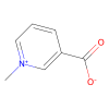 Trigonelline - 98%, used for , CAS No. 535-83-1, by Aladdin Scientific