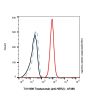 Trastuzumab (anti-HER2), Antibody of erb-b2 receptor tyrosine kinase 2