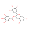Tea polyphenol