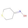Tetrahydrothiopyran-4-one oxime