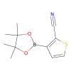 3-(4,4,5,5-Tetramethyl-1,3,2-dioxaborolan-2-yl)thiophene-2-carbonitrile