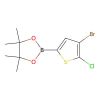 2-(4-Bromo-5-chlorothiophen-2-yl)-4,4,5,5-tetramethyl-1,3,2-dioxaborolane
