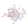 Urocortin rat