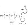 UTP Trisodium salt Solution - Pharmaceutical grade，≥99%，100mM, used for , CAS No. 19817-92-6, by Aladdin Scientific