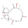 Verrucarin A