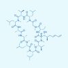 Voclosporin
