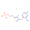Vitamin B1 Monophosphate Chloride