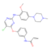 WZ4002, Inhibitor of BLK proto-oncogene; Src family tyrosine kinase;Inhibitor of Bruton tyrosine kinase;Inhibitor of epidermal growth factor receptor;Inhibitor of erb-b2 receptor tyrosine kinase 4;Inhibitor of IL2 inducible T cell kinase;Inhibitor of NUAK family