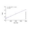 WST-1 Cell Proliferation Assay Kit