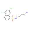 W8 Hydrochloride