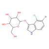 X-Gal (5-bromo-4-chloro-3-indolyl-β-D-galactopyranoside)