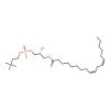 1-(9Z,12Z-octadecadienoyl)-sn-glycero-3-phosphocholine