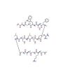 [Ala107]-MBP (104-118) acetate Salt - , expressed in , from , , used for , CAS No. 99026-77-4(free base)