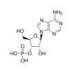 Adenosine 3′-monophosphate