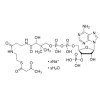 Acetoacetyl coenzyme A sodium salt hydrate