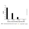 Goat Anti-Mouse IgG H&L (HRP)
