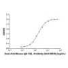 Goat Anti-Mouse IgG H&L Antibody - by