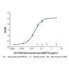 Nesvacumab (anti-ANGPT2), INHIBITOR of Angiopoietin-2 inhibitor
