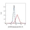 Oleclumab (anti-CD73), Antibody of Ecto-5'-Nucleotidase