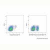 Pinatuzumab (anti-CD22)