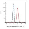 Talquetamab (anti-GPRC5D), BINDING AGENT of T cell surface glycoprotein CD3 binding agent