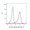 Teplizumab (anti-CD3e), OTHER of T-cell surface glycoprotein CD3 epsilon chain other
